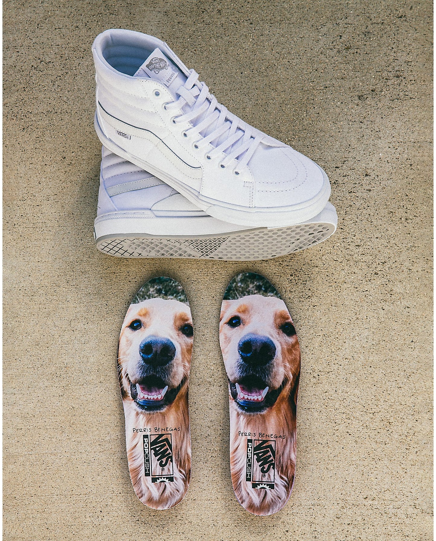 Vans BMX SK8-Hi Benegas True White