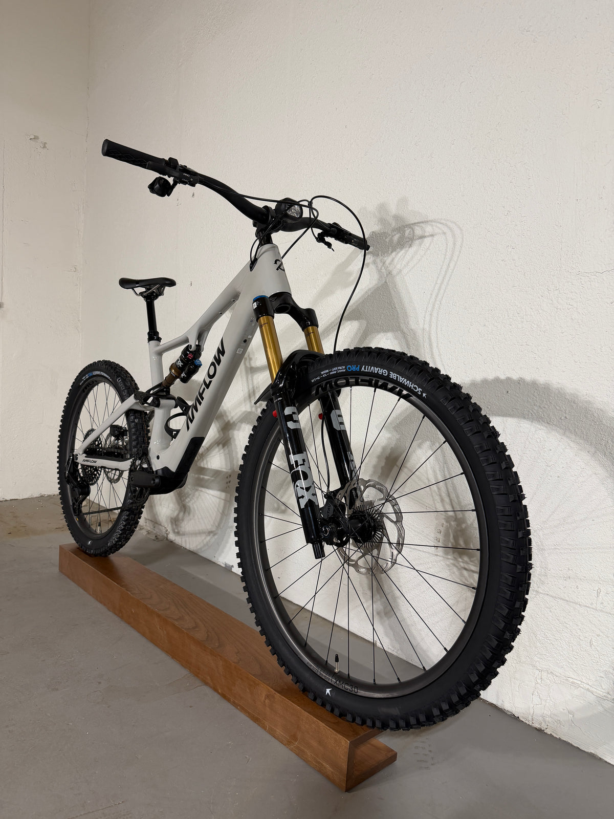 Amflow PX Carbon Pro E- Mountain Bike